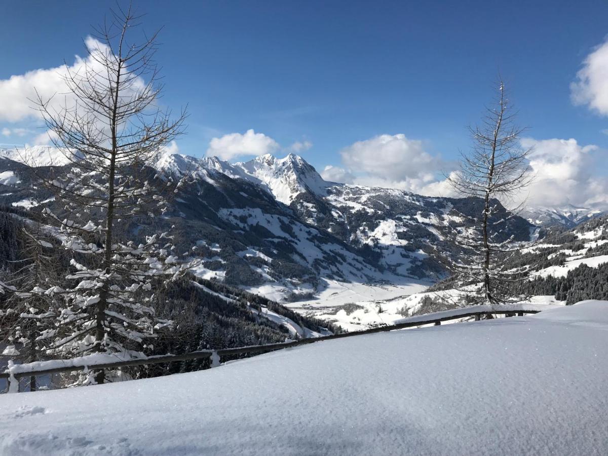 Apartmán Haus Brunhilde Dorfgastein Exteriér fotografie